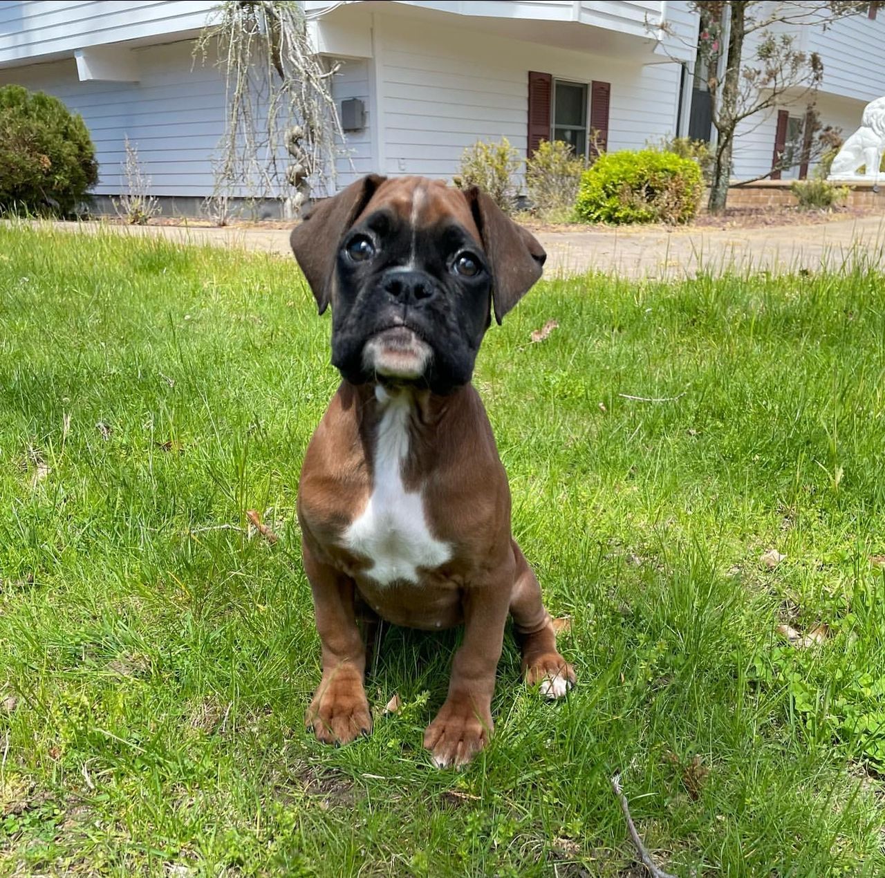 Max